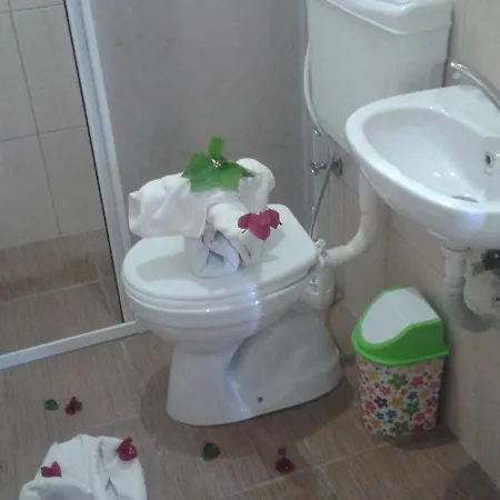 روزيلا فندق 3*
