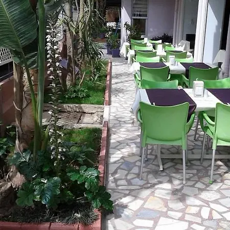 Rosella 阿拉尼亚